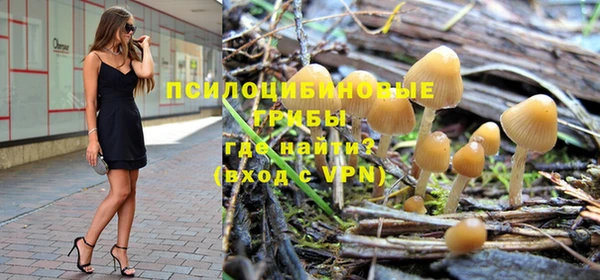 МДПВ Алексин