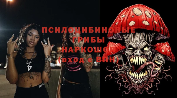 МДПВ Алексин