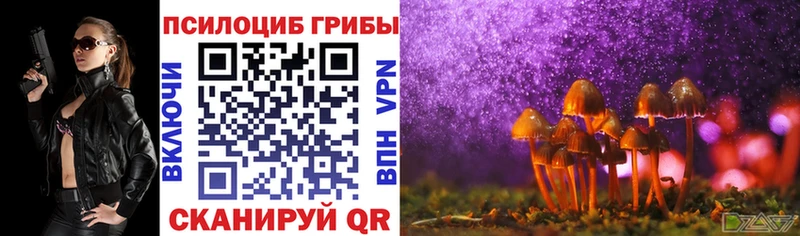 Псилоцибиновые грибы Psilocybe  Аркадак 